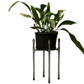 Pipe fitting plant stand holding a plant in a black pot